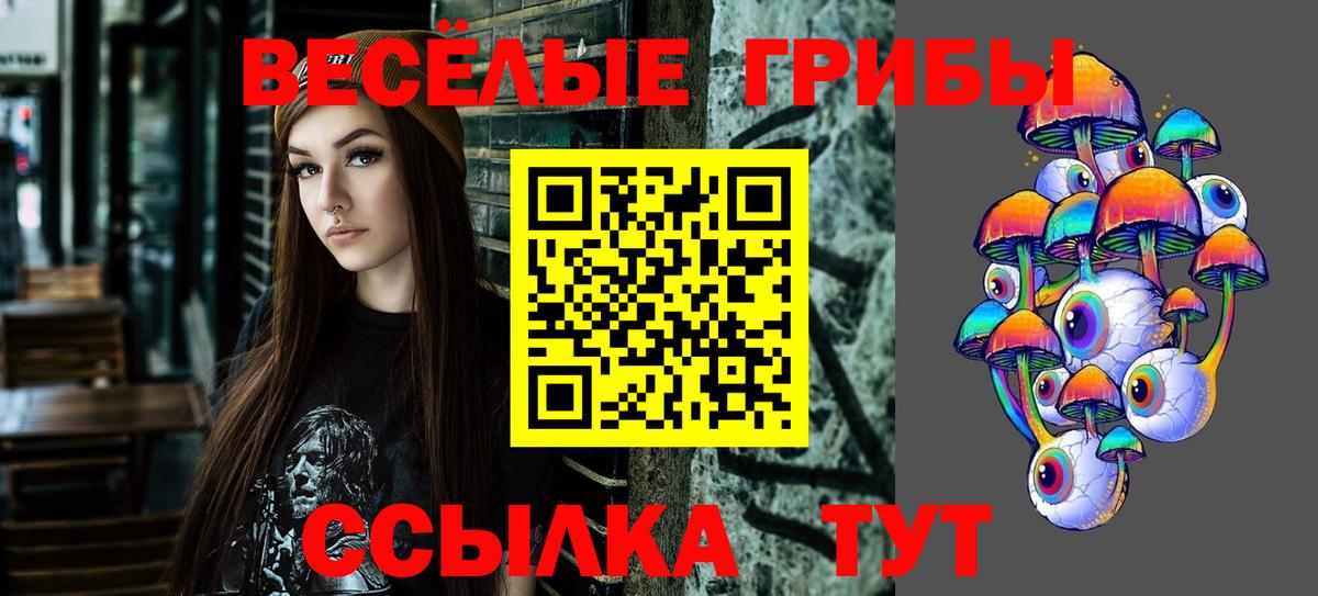 Урус-Мартан  Псилоцибиновые грибы мицелий  Вход с VPN 